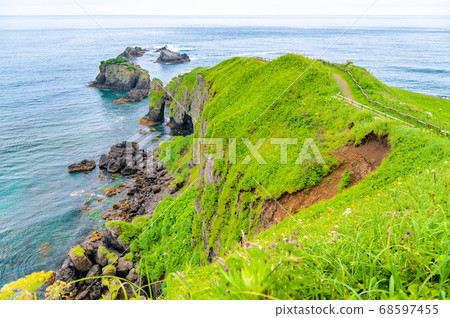 Cape Hamitappu, summer, Hamanaka-cho, Hokkaido 68597455