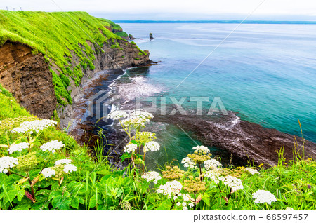 Cape Hamitappu, summer, Hamanaka-cho, Hokkaido Cape Hamitappu, summer, Hamanaka-cho, Hokkaido 68597457