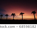種子島日落 68598182