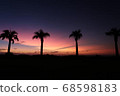 種子島的日落和棕櫚樹 68598183