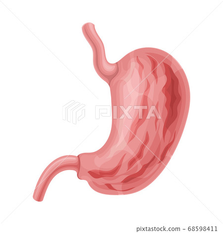 Stomach with Gastritis Symptoms Isolated on White Background Vector Illustration 68598411