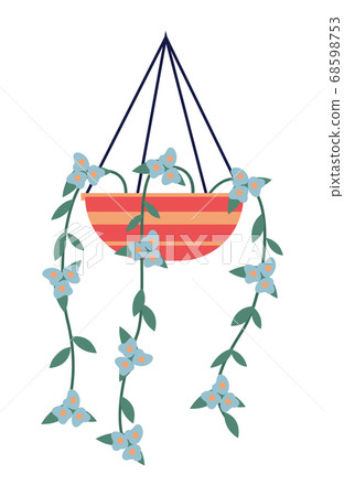 Decorative green plant with long leaves in ceramic pot, pot with houseplant. Home interior plant Decorative green plant with long leaves in ceramic pot, pot with houseplant. Home interior plant 68598753