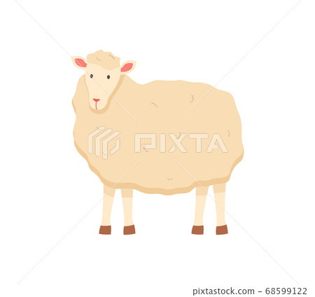 Sheep with Fluffy Wool, Small Young Lamb Vector 68599122