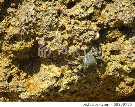 濱az夕浦浦海灘（京都府京丹後市） 68599730