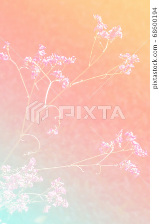 Flower background with a pastel colored for graphic design Flower background with a pastel colored for graphic design 68600194