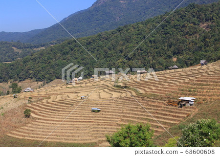 northern thailand village terraces farm northern thailand village terraces farm 68600608