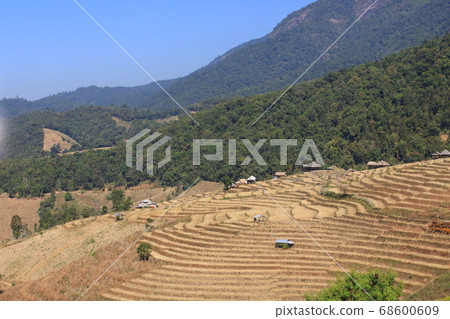 northern thailand village terraces farm northern thailand village terraces farm 68600609