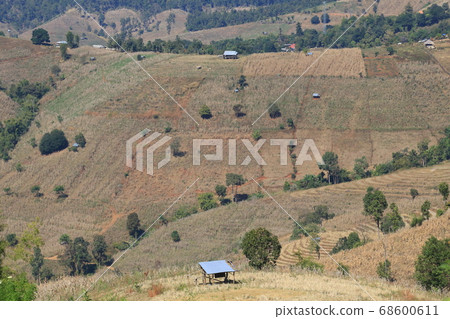 northern thailand village terraces farm northern thailand village terraces farm 68600611