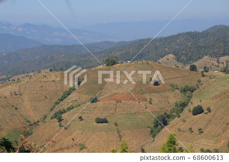 northern thailand village terraces farm northern thailand village terraces farm 68600613