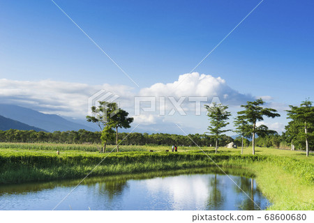 花東縱谷大農大富平地森林公園 花東縱谷大農大富平地森林公園 68600680