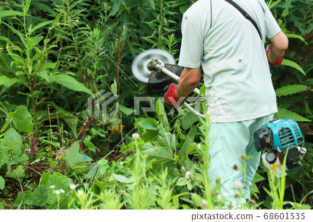 Man mowing with electric mower 5808 Man mowing with electric mower 5808 68601535