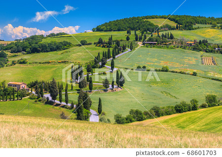 Wonderful winding rural road with cypresses in Tuscany, Italy, Europe Wonderful winding rural road with cypresses in Tuscany, Italy, Europe 68601703