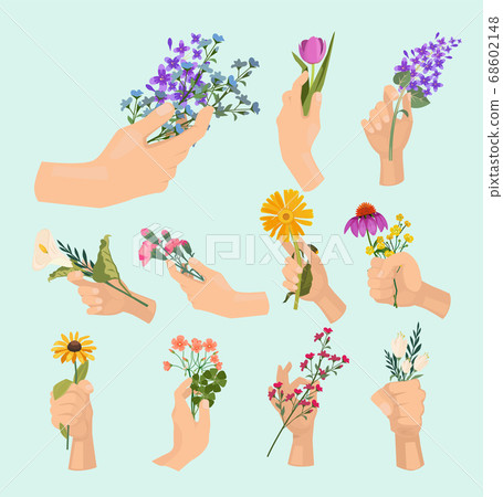 Flowers in hands. Beauty ladies hand holding various colored bouquet lady fresh plants vector cartoon collection Flowers in hands. Beauty ladies hand holding various colored bouquet lady fresh plants vector cartoon collection 68602148