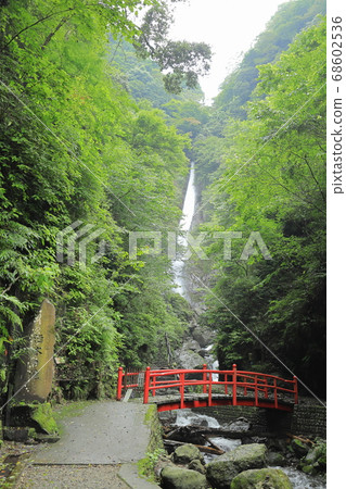 [Kanagawa] Sensui Falls 68602536