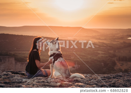 Beautiful girl plays with dog at sunset Beautiful girl plays with dog at sunset 68602828