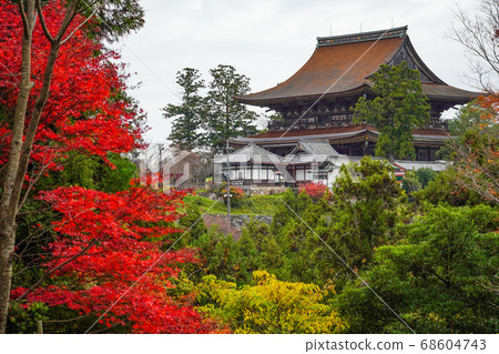 View of Kinpusenji Temple from the courtyard of Yoshimizu Shrine Shoin in autumn 68604743