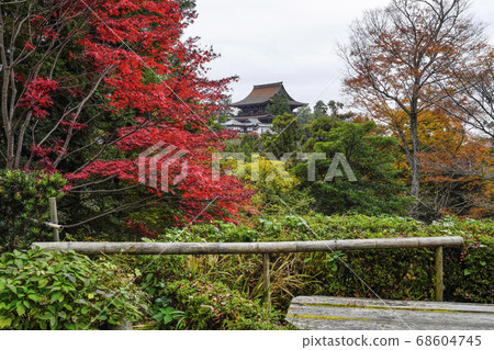 View of Kinpusenji Temple from the courtyard of Yoshimizu Shrine Shoin in autumn 68604745
