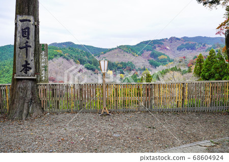 Autumn Yoshinoyama Yoshimizu Shrine Ichimoku Senbon Autumn Yoshinoyama Yoshimizu Shrine Ichimoku Senbon 68604924