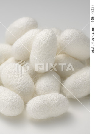 Lots of cocoon balls white background Lots of cocoon balls white background 68606335