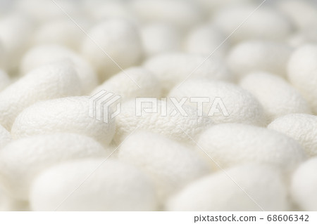 Cocoon ball background material 68606342
