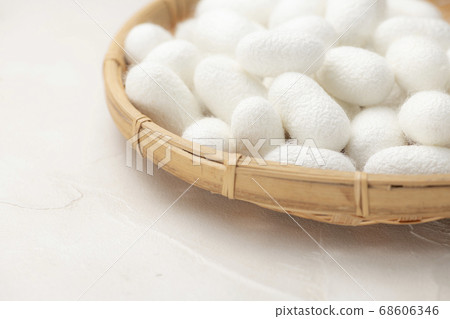 Many bamboo cocoons Many bamboo cocoons 68606346