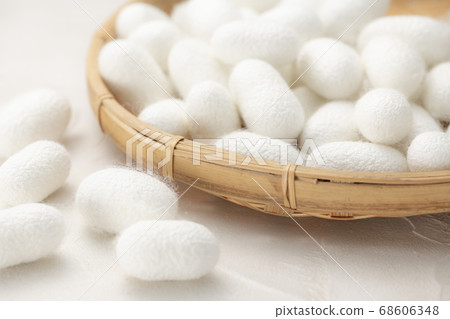 Many bamboo cocoons Many bamboo cocoons 68606348