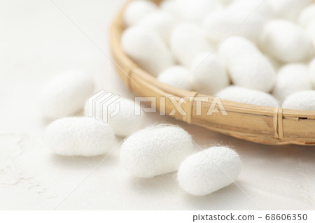 Many bamboo cocoons Many bamboo cocoons 68606350