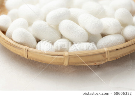 Many bamboo cocoons Many bamboo cocoons 68606352
