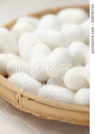 Many bamboo cocoons Many bamboo cocoons 68606356