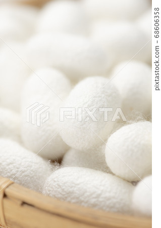 Many bamboo cocoons Many bamboo cocoons 68606358