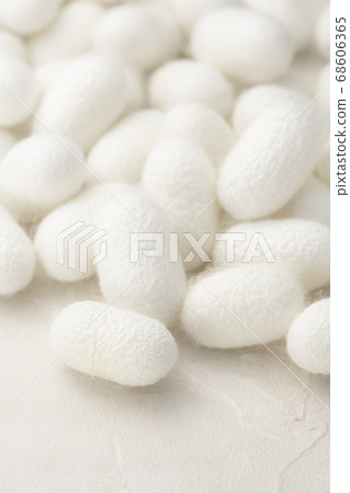 Lots of cocoon balls white background Lots of cocoon balls white background 68606365