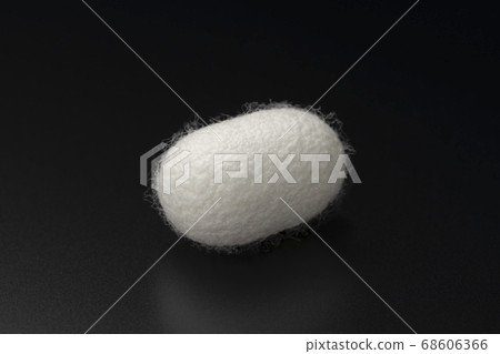 Up of white cocoon balls on a black background Up of white cocoon balls on a black background 68606366