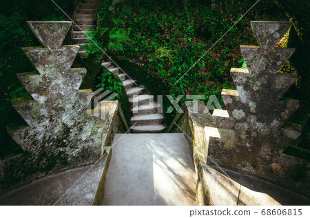 Stone staircase across a forest path Stone staircase across a forest path 68606815