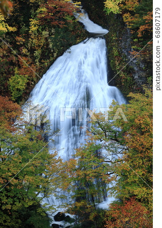 Autumnal leaves Nanatsu Falls Autumnal leaves Nanatsu Falls 68607179