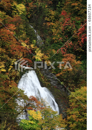 秋季葉子Nanatsu秋天 秋季葉子Nanatsu秋天 68607184