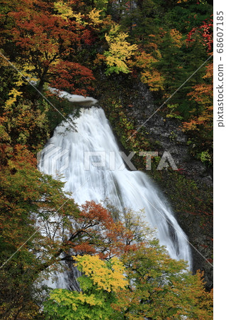 秋季葉子Nanatsu秋天 68607185