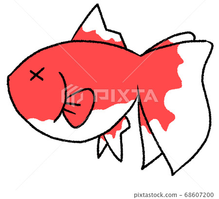 Unwell goldfish Unwell goldfish 68607200