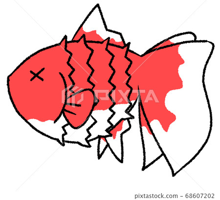 松鞘金魚 松鞘金魚 68607202