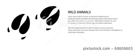 Banner of traces of animal boar Banner of traces of animal boar 68608603