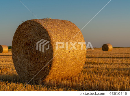 Hay rolls and warm sunset sunlight in the field 68610546