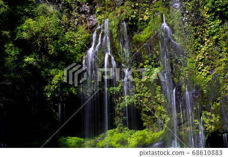 Mossy Waterfall 68610883