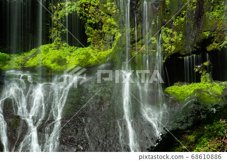 生苔瀑布 生苔瀑布 68610886