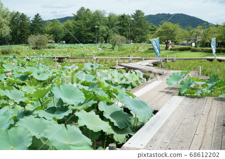 [Sequel to Japan's 100 Famous Castles] Ruins and Honmaru of Bitchu Takamatsu Castle Ruins, Kita Ward, Okayama City, Okayama Prefecture 68612202