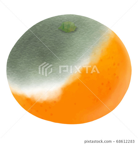 Rotten tangerines 68612283