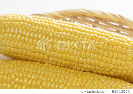 Corn Corn 68612905