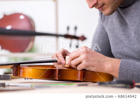 Young male repairman repairing violin 68614042