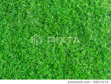 Pattern of green grass texture Pattern of green grass texture 68614214