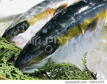 Buri Buri. Buri Buri. 68614355