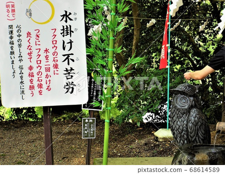 "Washiko Yamagami Shrine" on the prefectural border between Tochigi and Ibaraki-a powerful power spot of "owl" that calls happiness (2) "Washiko Yamagami Shrine" on the prefectural border between Tochigi and Ibaraki-a powerful power spot of "owl" that calls happiness (2) 68614589