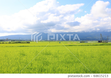佐渡島的田園風光 佐渡島的田園風光 68615213